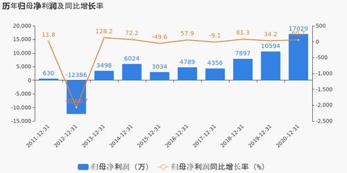 有研新材2020年度業績顯著提升，歸母凈利潤同比大漲60.74%，投資項目回報成未來焦點